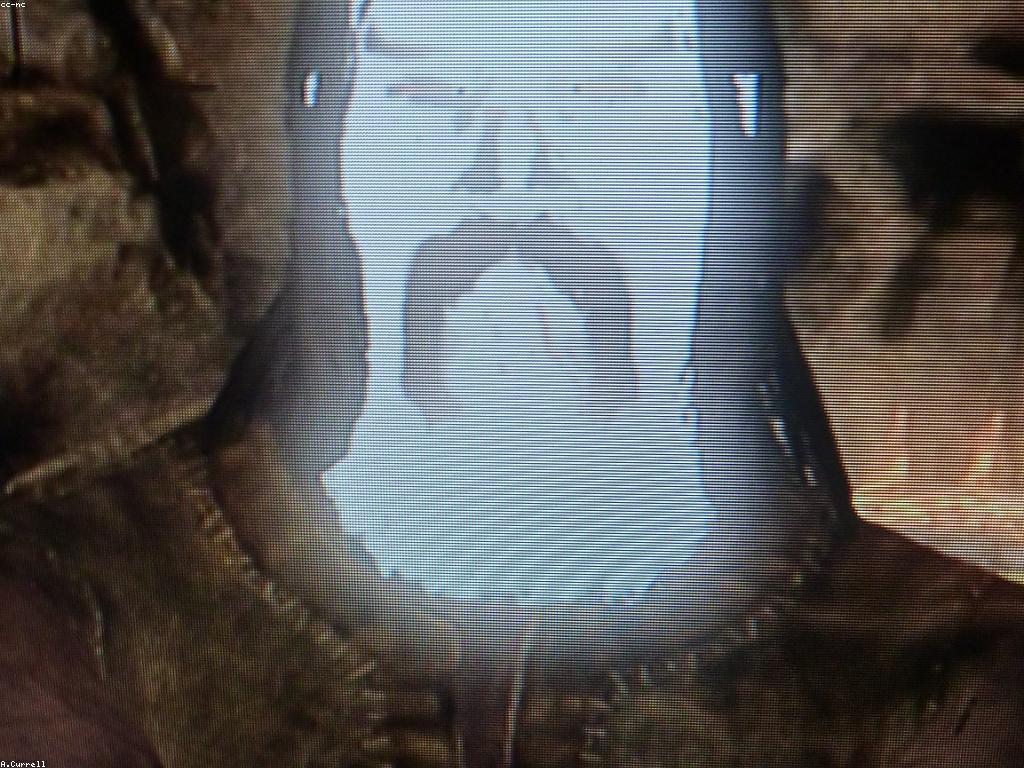 ข่าวสารและอัพเดทใหม่ใน lv177